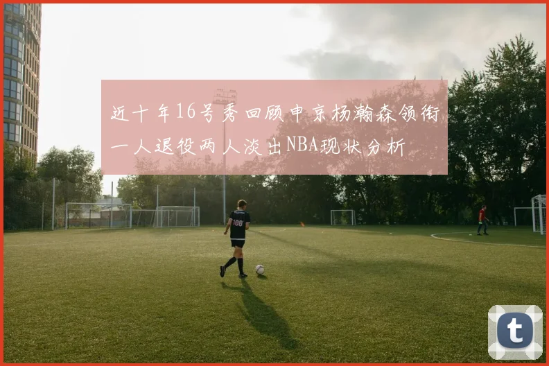 近十年16号秀回顾申京杨瀚森领衔一人退役两人淡出NBA现状分析